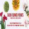 flower points new 100